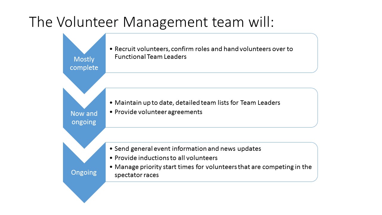Functional team leaders responsibilities for volunteers